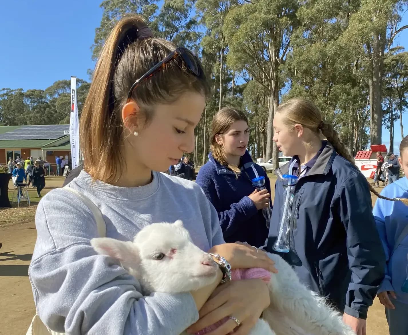 Teresa Barsanti S Msw N H22 Get   Australia   Studentssa   Primo Piano   Animale   Pag Programma   Verticale