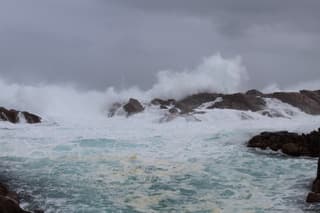 Margherita Lombatti_IPscNH17_WAA_Australia_Storie_preview