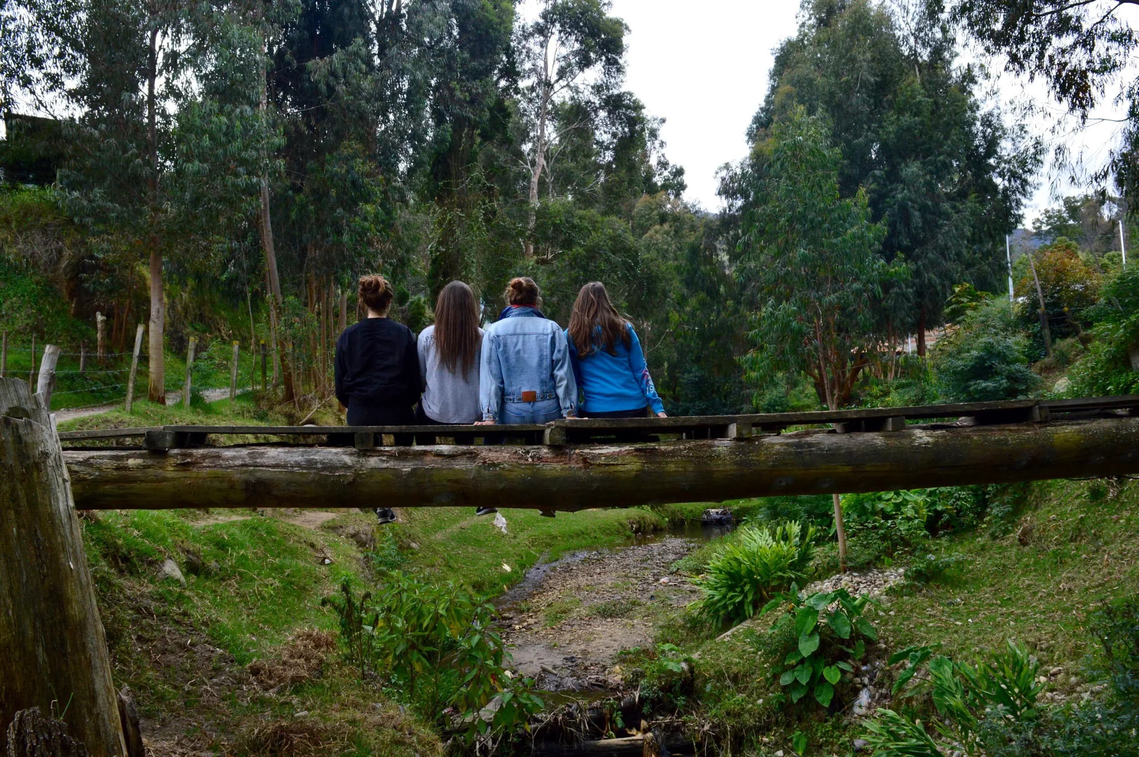 Sofia Ceppari  Y Psc N H16   Colombia   Studentessa   Fam Opistante   Spalle   Paesaggio   Pag Programma   Orizzontale (1)
