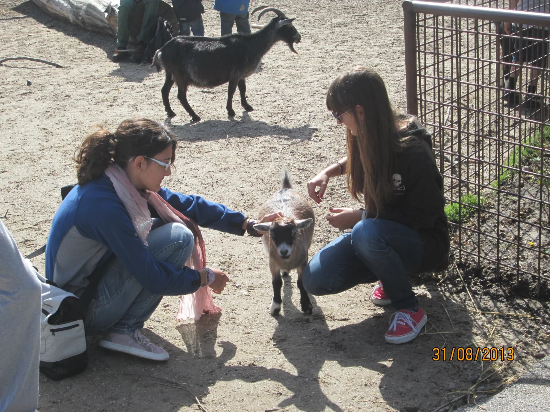 Enrica Calò VSscNH13_Danimarca_Storie (20)