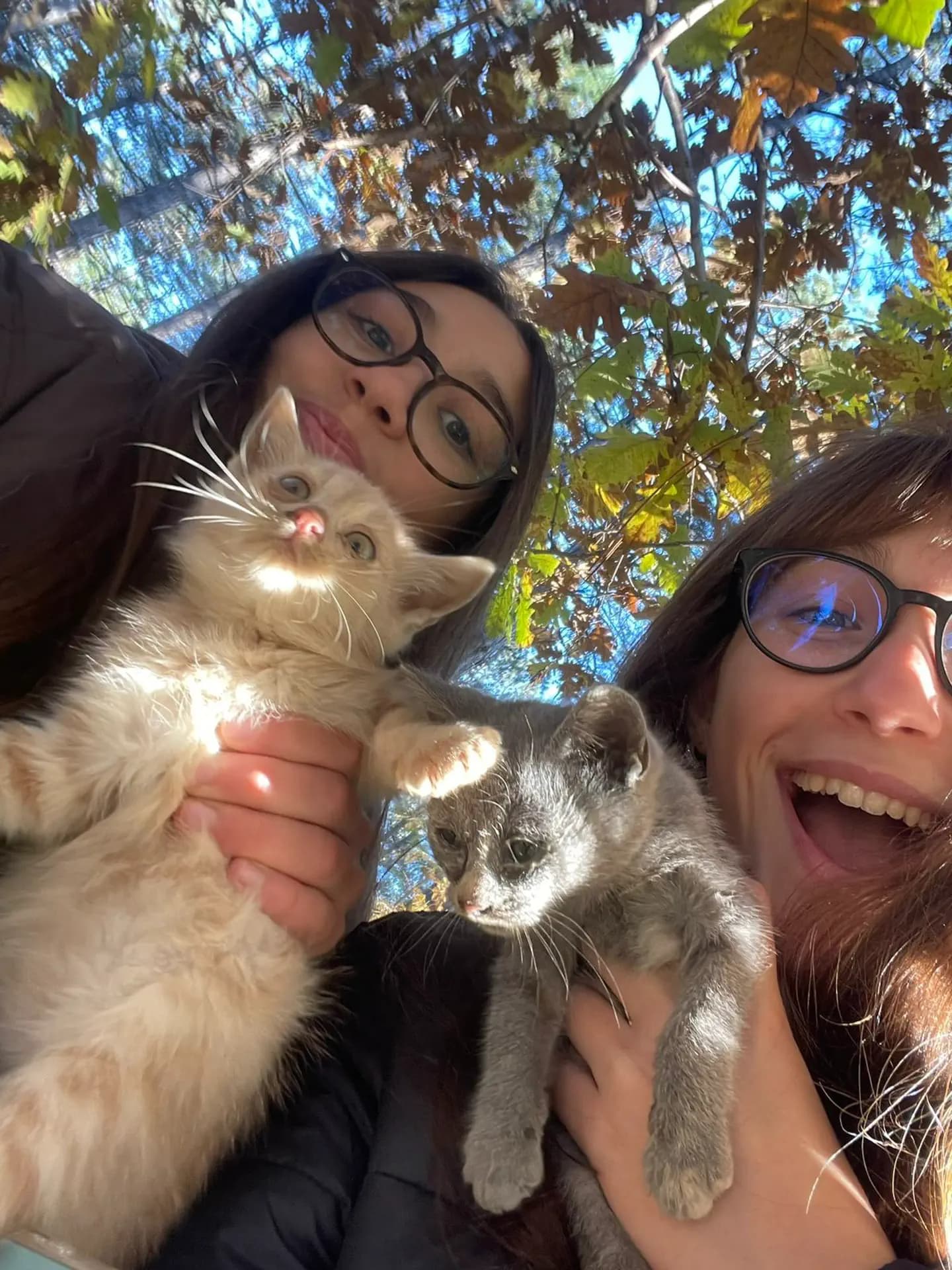 Nikol Plugov Yp 2025 Tur Cl Roma Ovest    Turchia   Studentessa   Animale   Selfie   Pag Programma   Verticale (1)