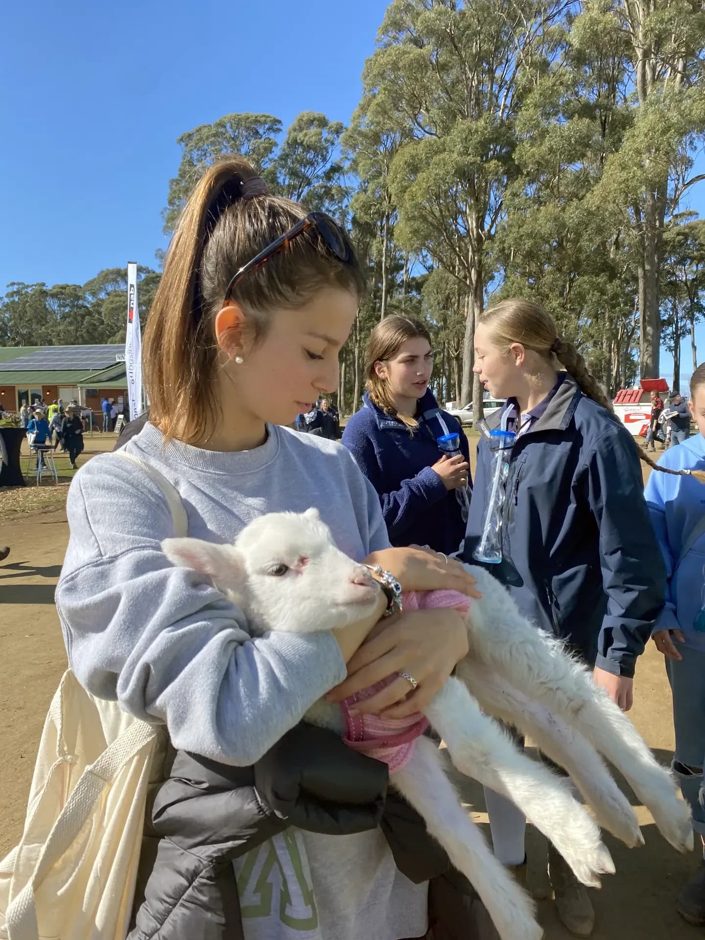 Teresa Barsanti S Msw N H22 Get   Australia   Studentssa   Primo Piano   Animale   Pag Programma   Verticale