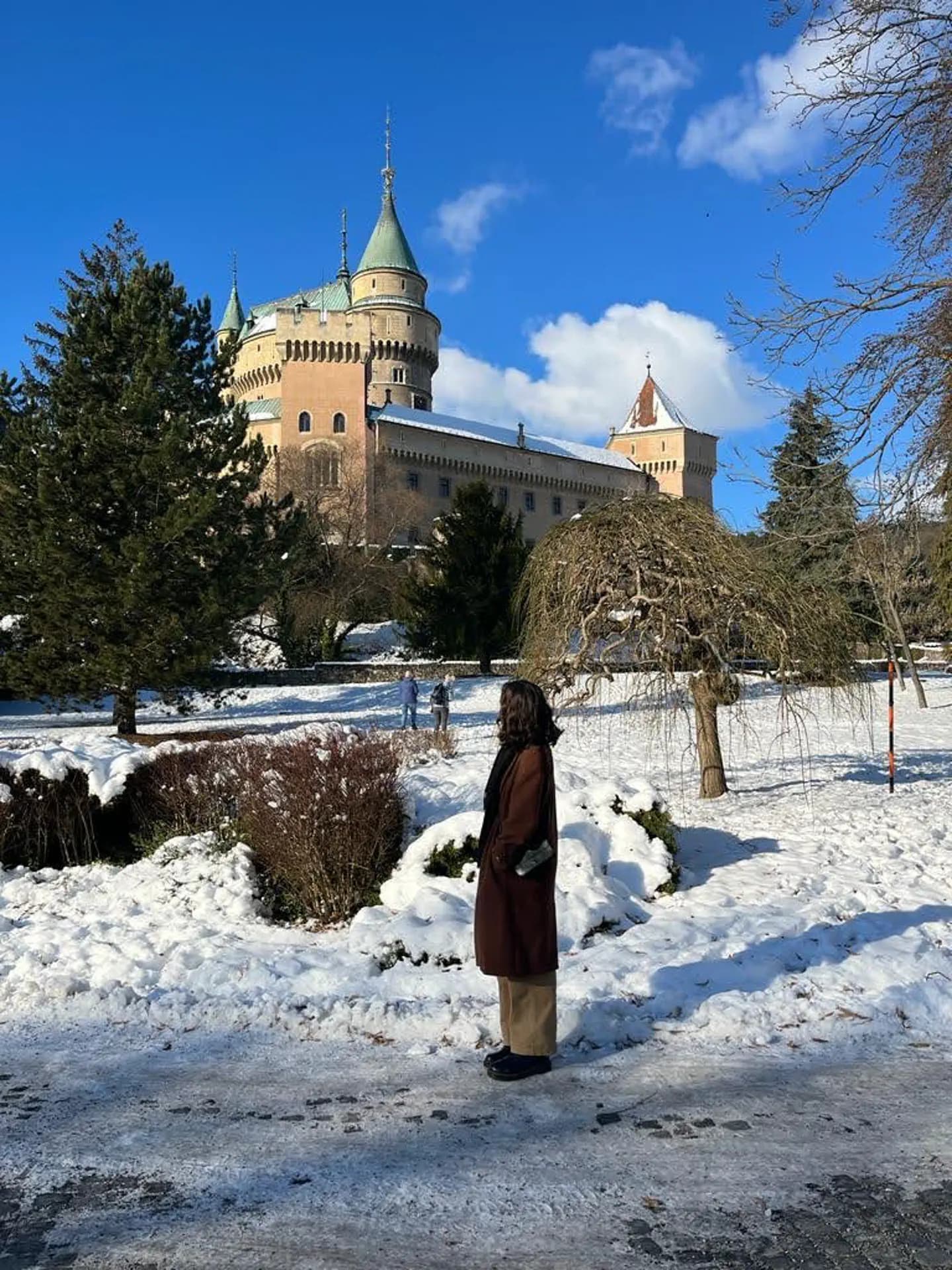 Liù Gallaro Y Psc Nh 2022 Svk   Rep Slovacca   Studentessa   Paesaggio   Neve   Spalle   Pag Programma   Verticale (11)