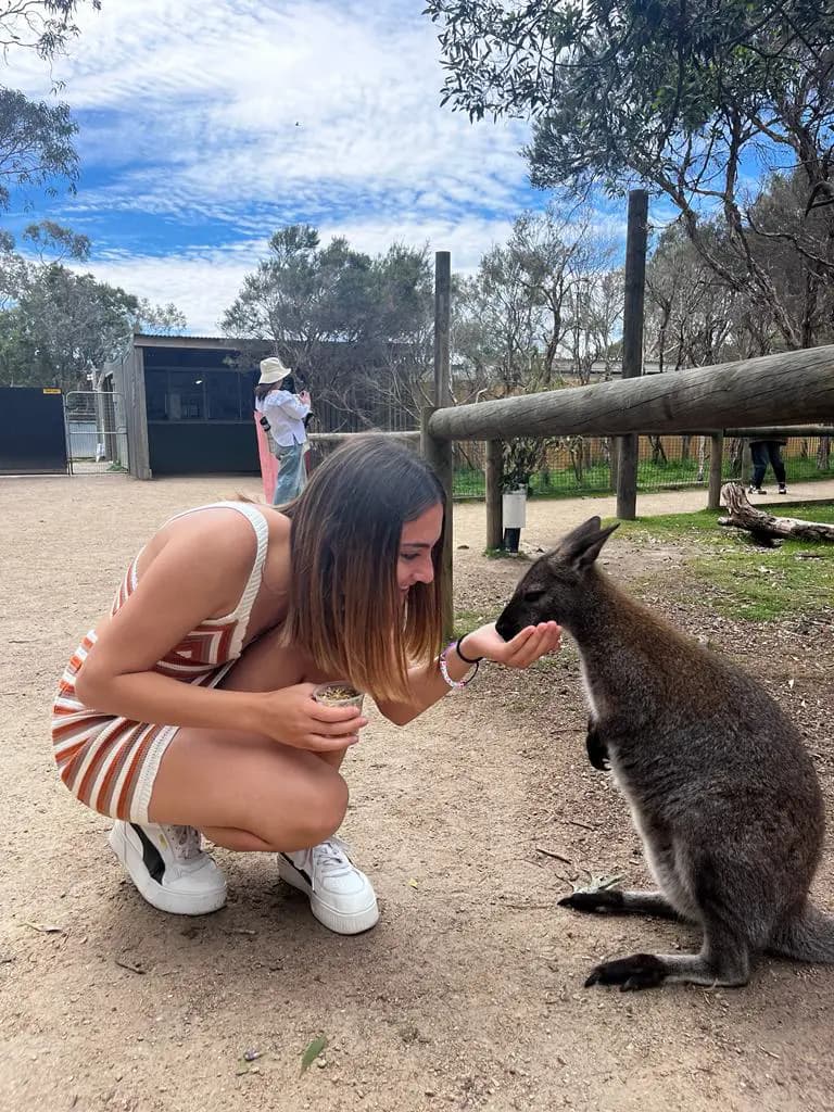 Mirella Morga Y Psw N H23 Get Cl Putignano   Australia   Studentessa   Piano Americano   Animale   Pag Programma   Verticale