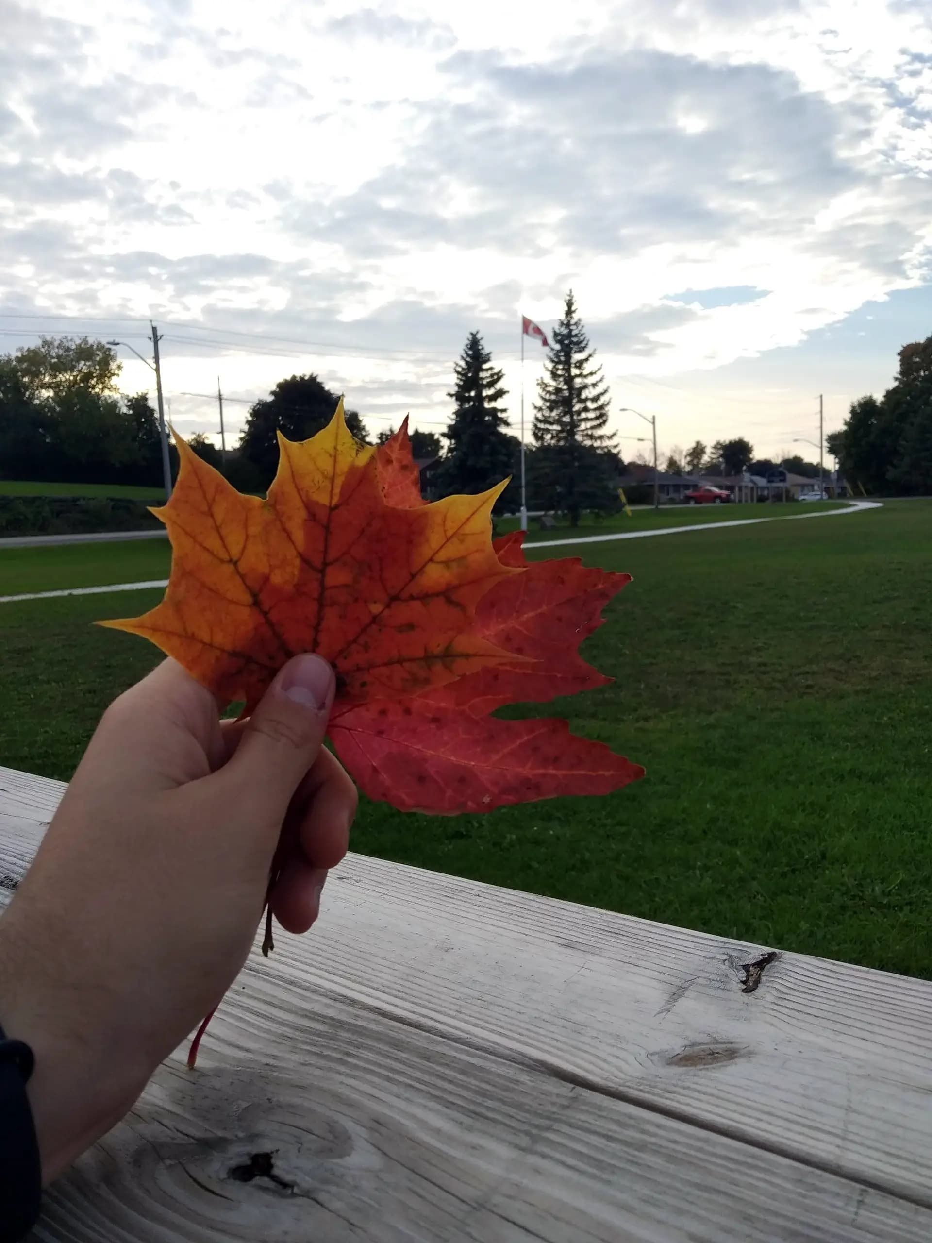 Matteo Pistochini T Rsw Can 19   Canada Anglofono Paesaggio   Pag Paese   Verticale