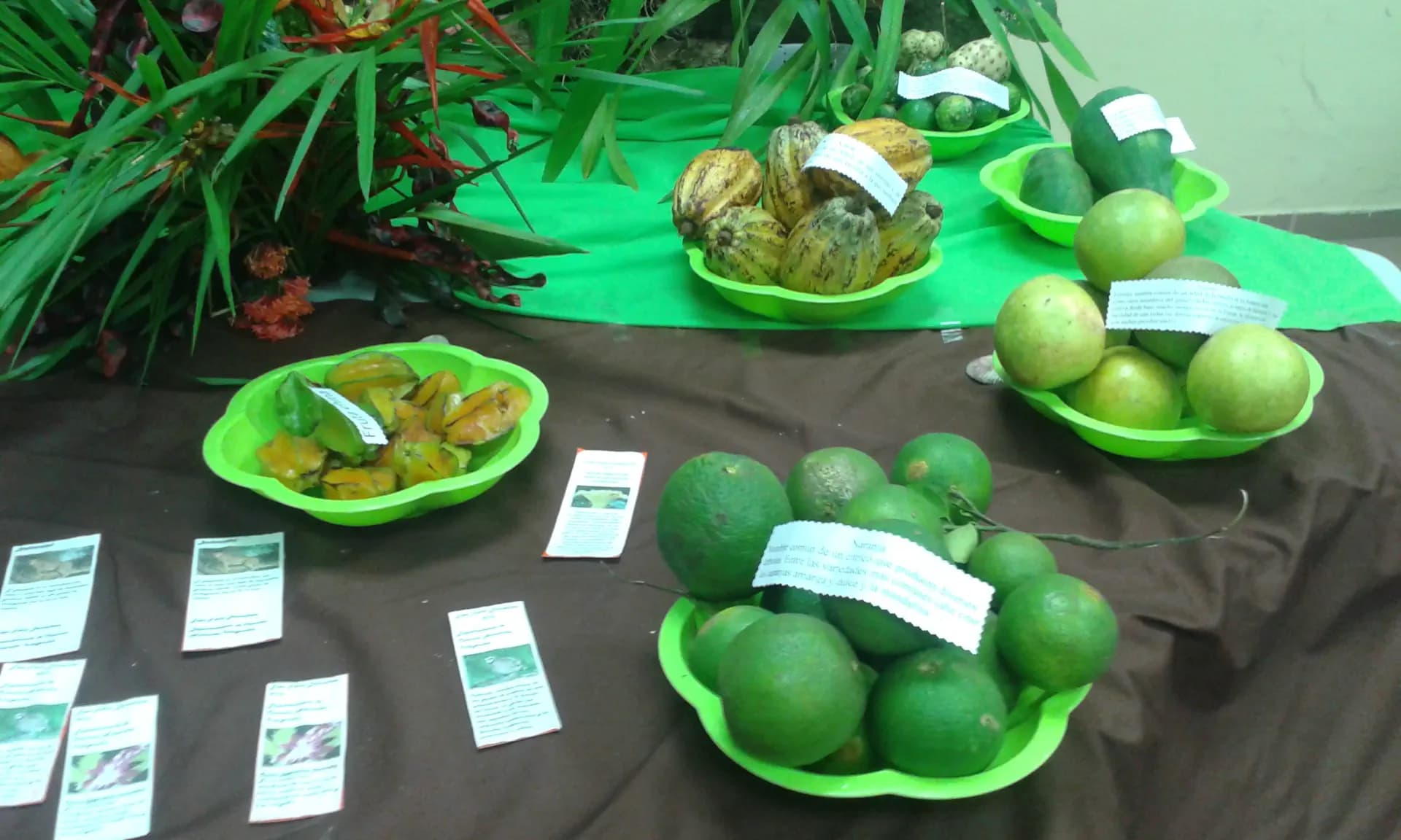 Avana Amadei Y Psc Nh 2015 Pan   Cibo   Pag Paese   Orizzontale  (2)