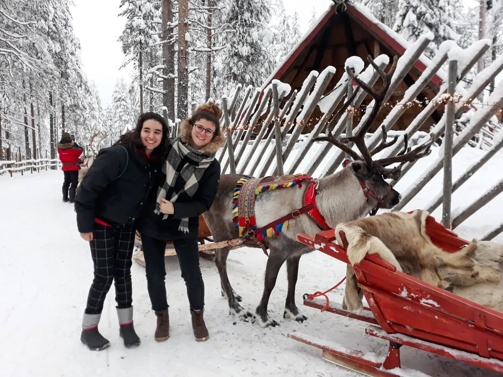 Vittoria Mezzalira S Msc Nh 2019 Fin   Finlandia   Studentessa   Animali   Neve   Paesaggio   Pag Programma  Orizzontale (2)