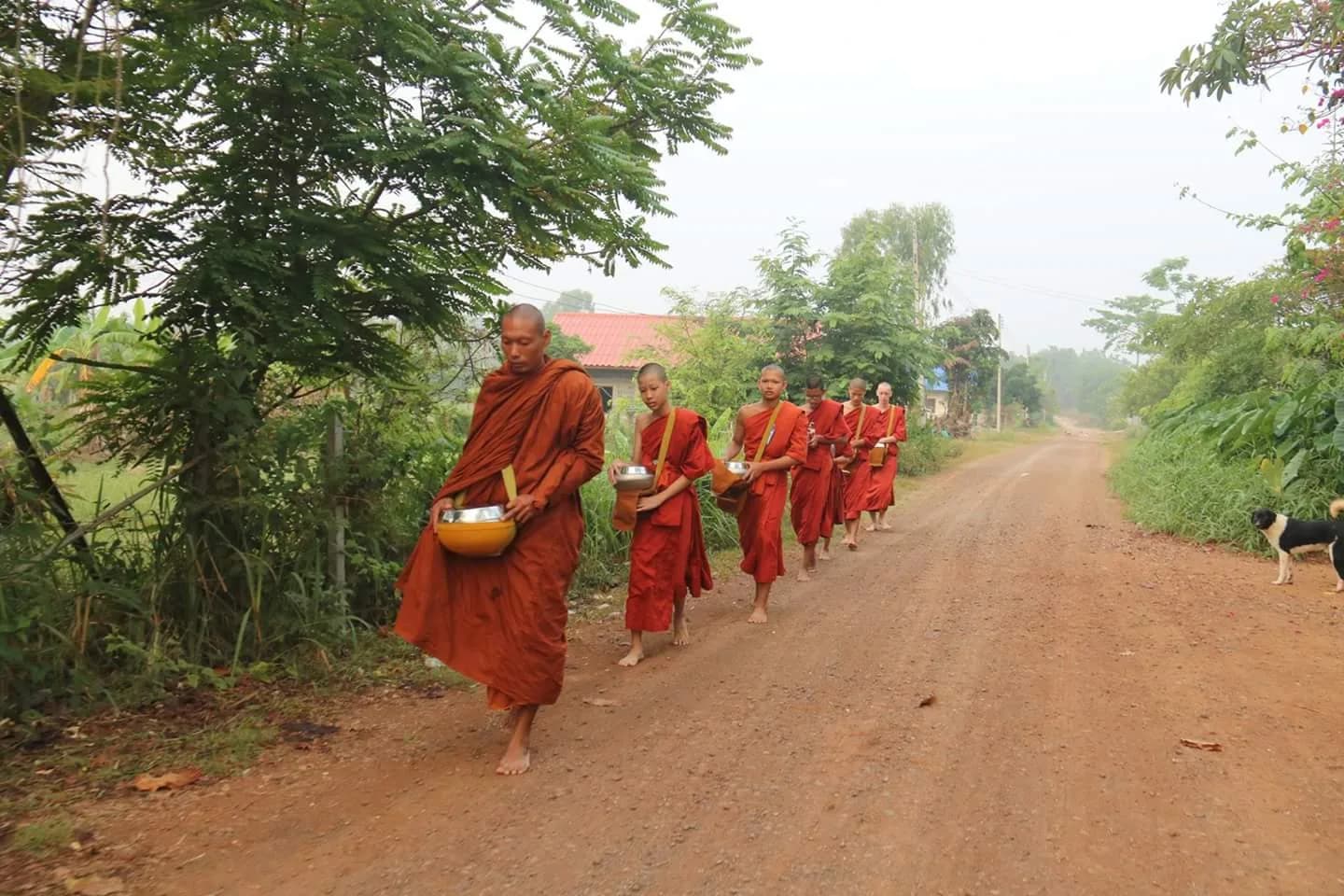 Raphael Cannatà YPscNH17_Thailandia_Storie (7)