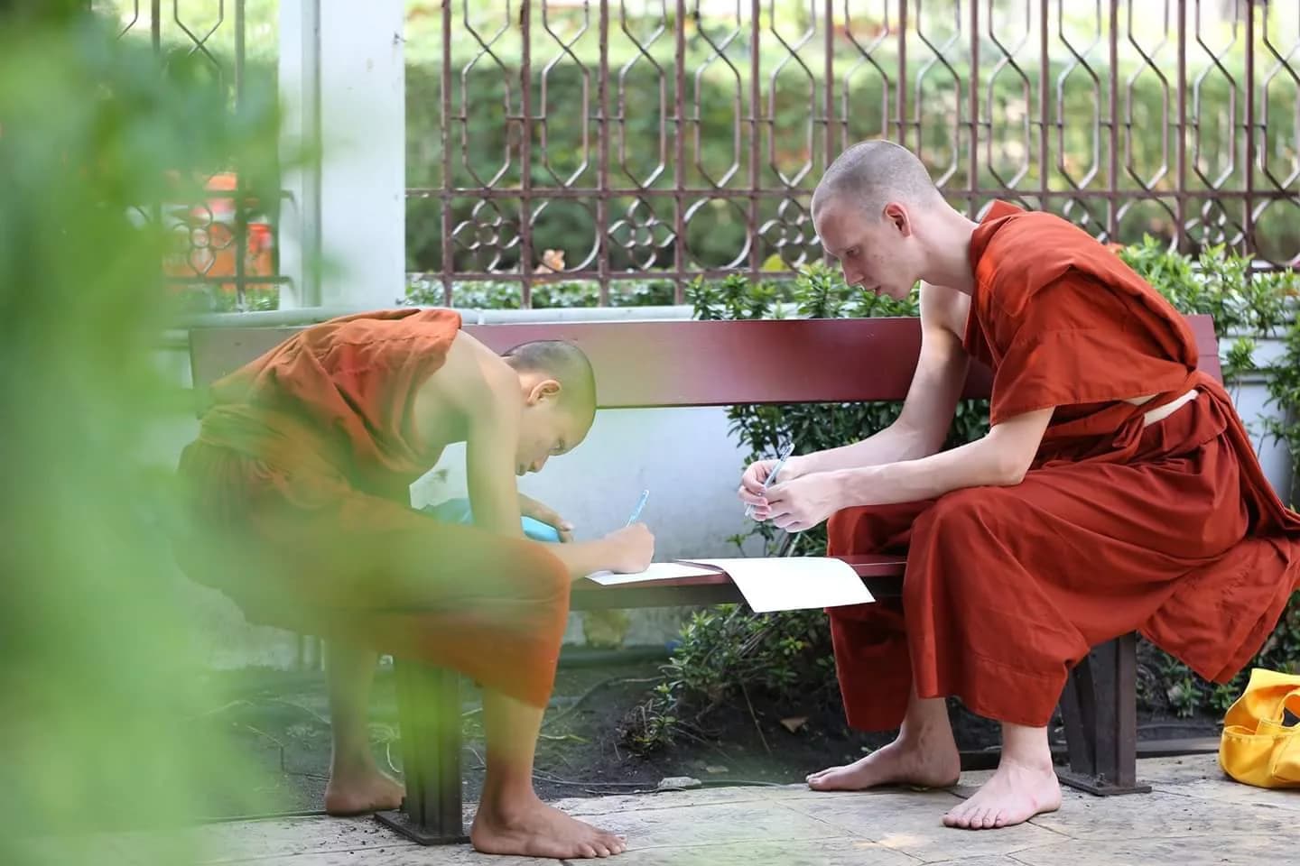 Raphael Cannatà YPscNH17_Thailandia_Storie (3)
