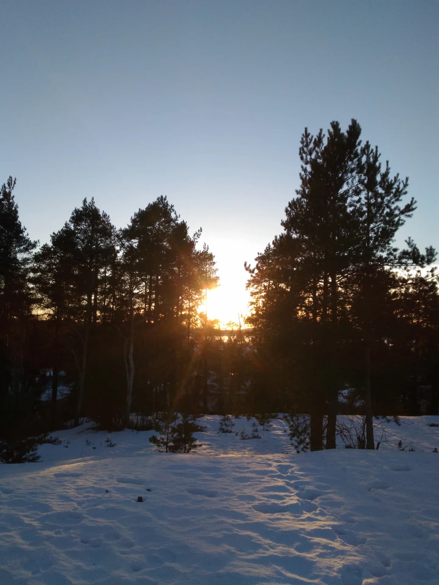 Francesco Stecca_YPscNH16_FIN_Finlandia_Storie (4)