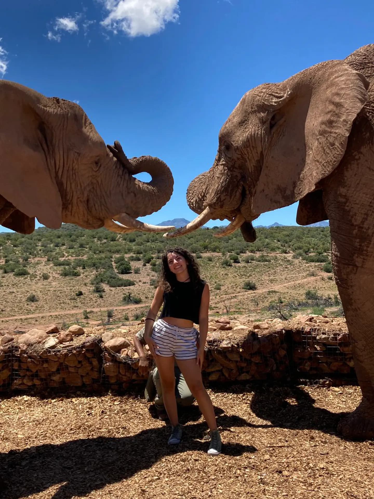 Vittoria Caroli Yp Gra 2021 Sudafrica Studentessa Animale Pag Programma Verticale (11)